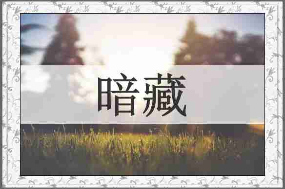 暗藏