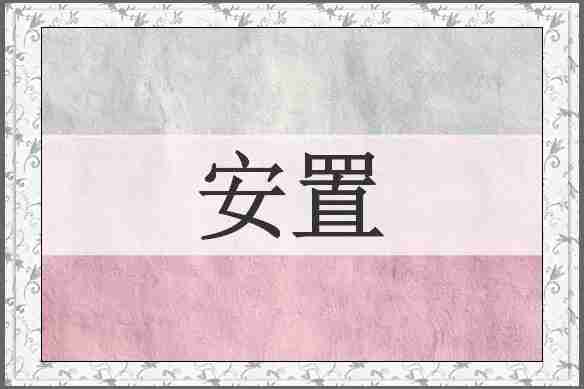 安置