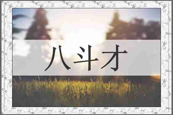 八斗才