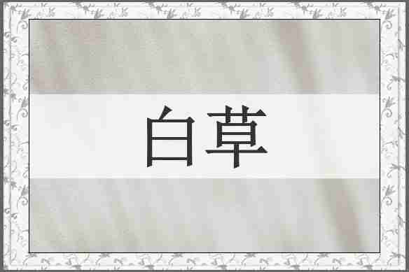 白草