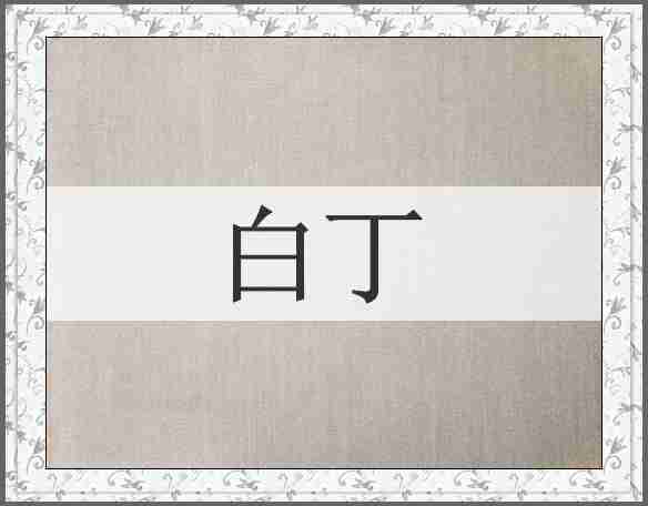 白丁
