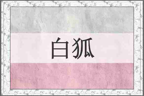 白狐