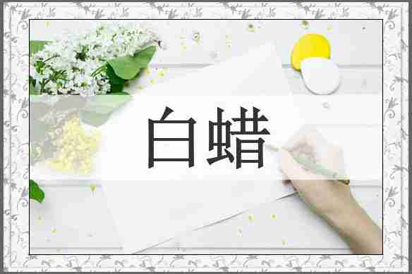 白蜡