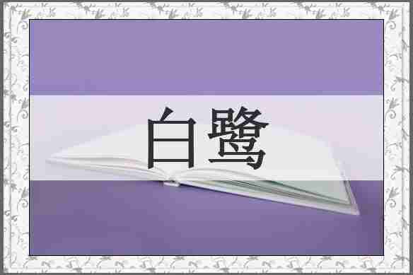 白鹭