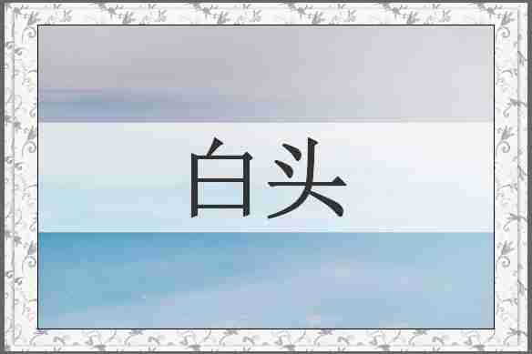 白头