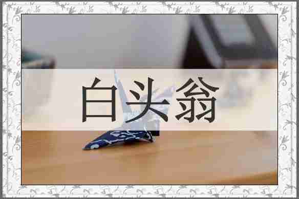 白头翁
