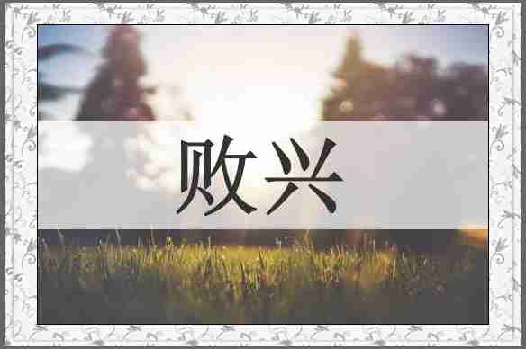 败兴