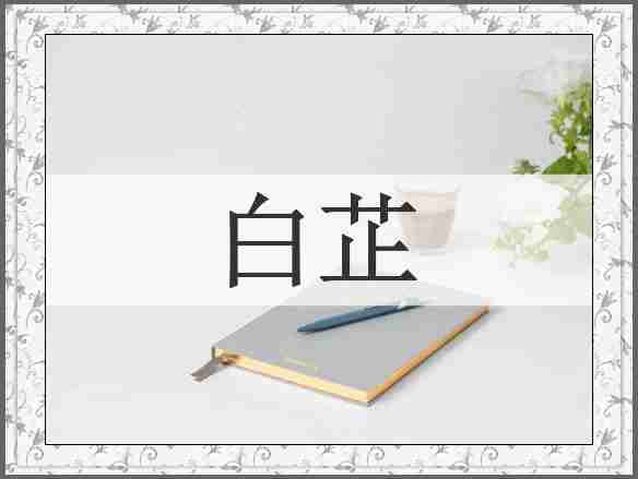 白芷