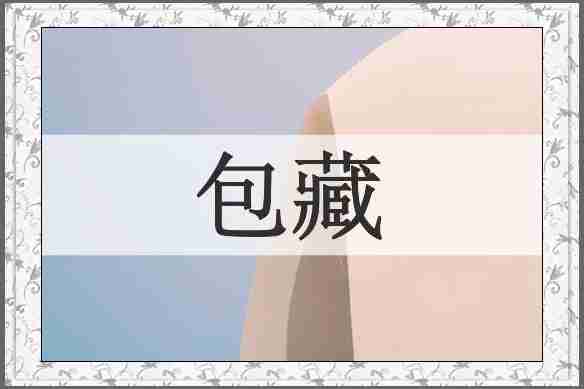 包藏
