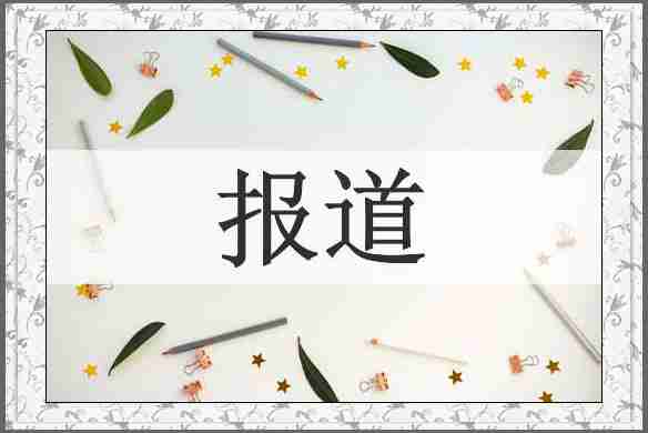 报道