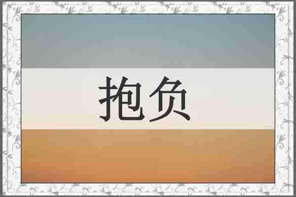 抱负