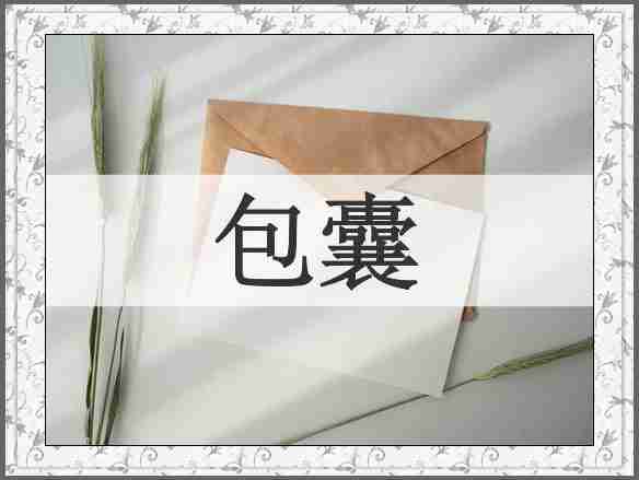 包囊