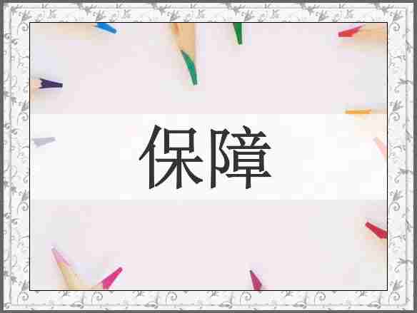 保障