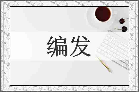 编发
