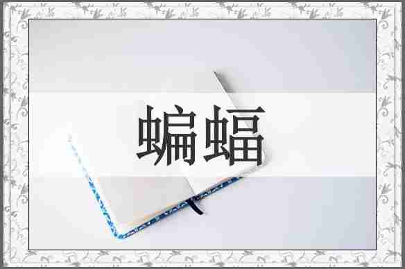 蝙蝠