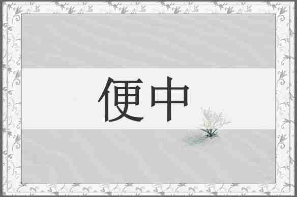 便中