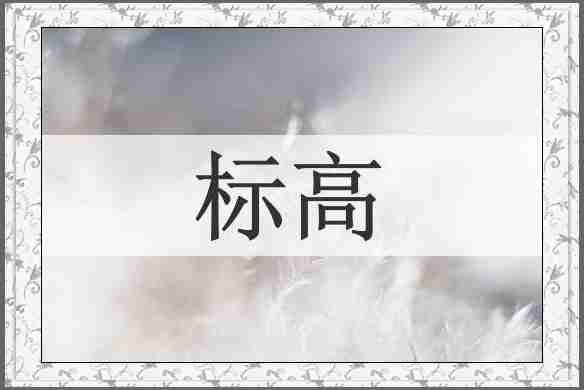 标高
