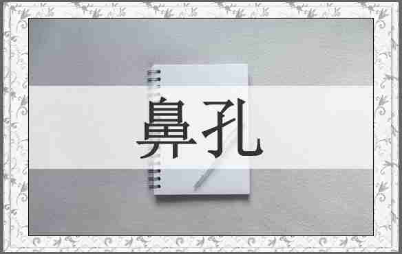 鼻孔