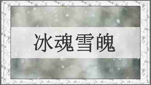 冰魂雪魄
