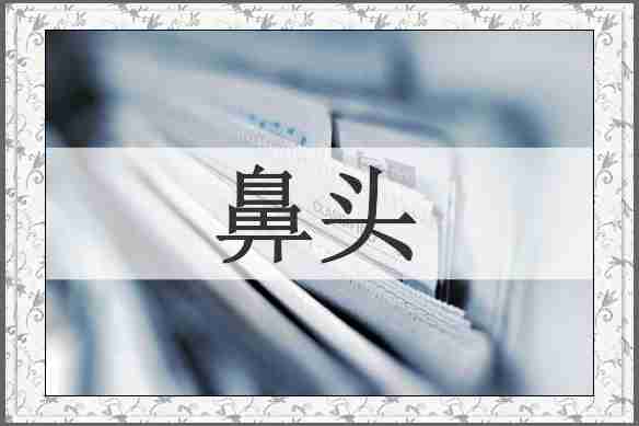 鼻头