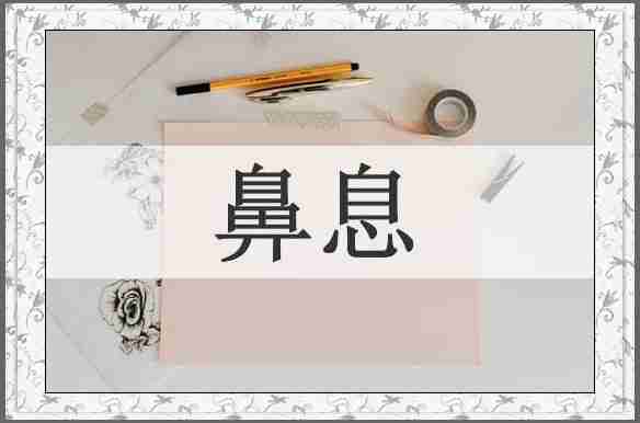 鼻息