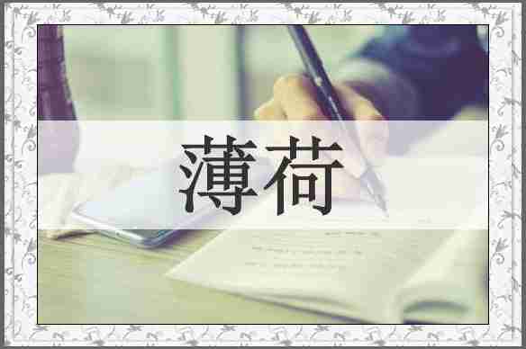 薄荷