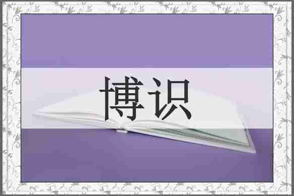 博识