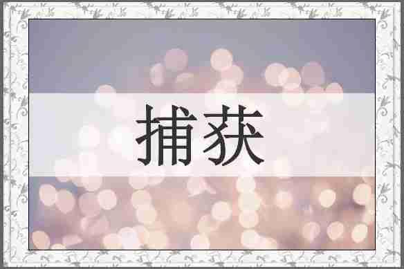 捕获