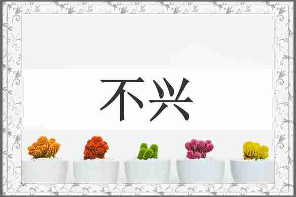 不兴