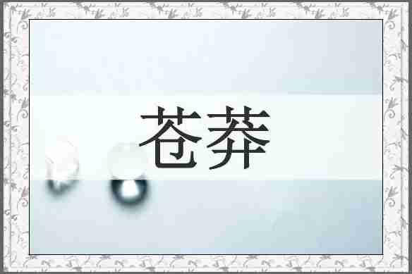 苍莽
