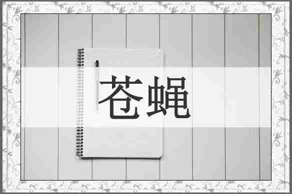 苍蝇