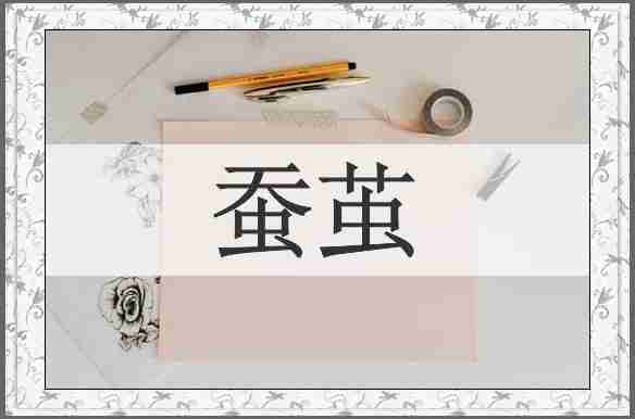 蚕茧