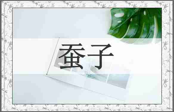 蚕子
