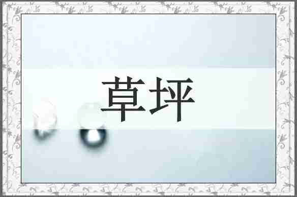 草坪