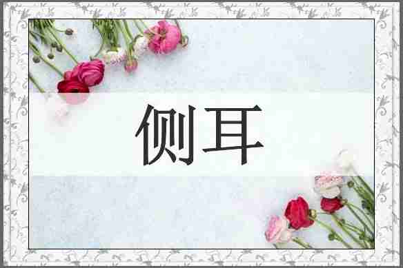 侧耳