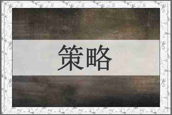 策略