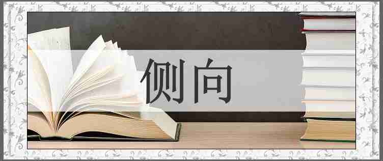 侧向