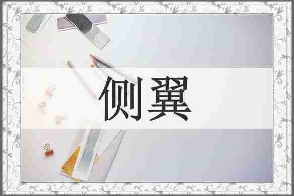 侧翼