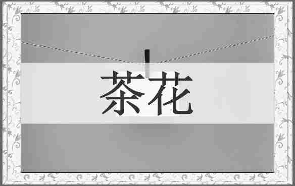 茶花