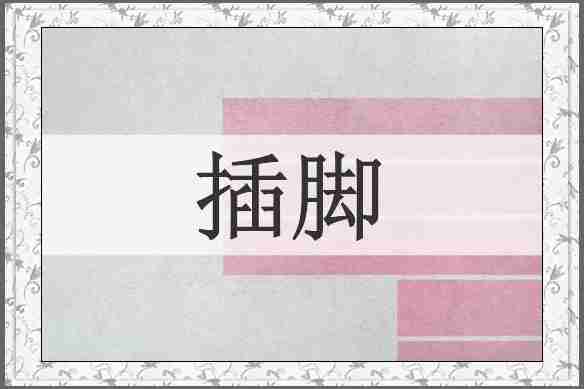 插脚