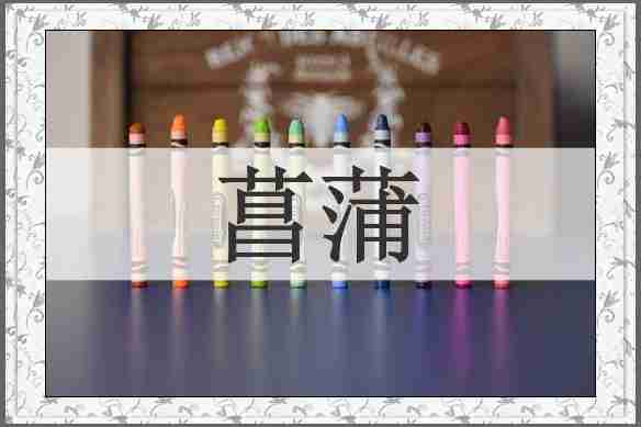 菖蒲