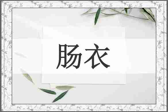 肠衣