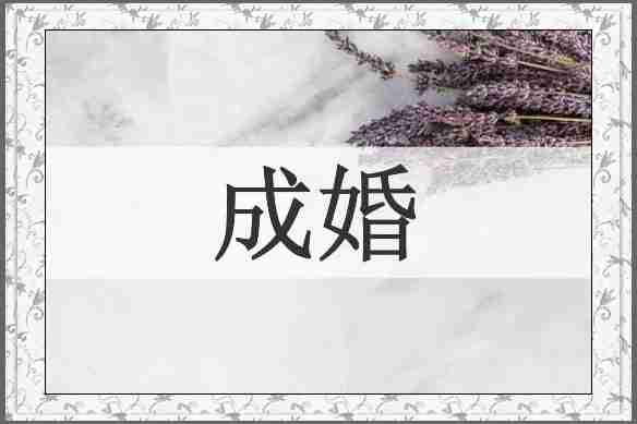 成婚