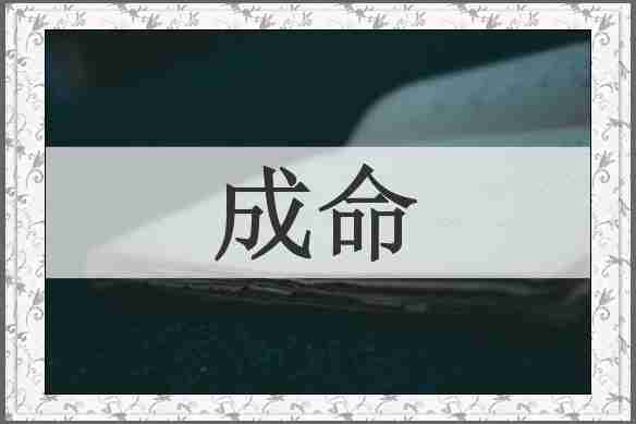 成命