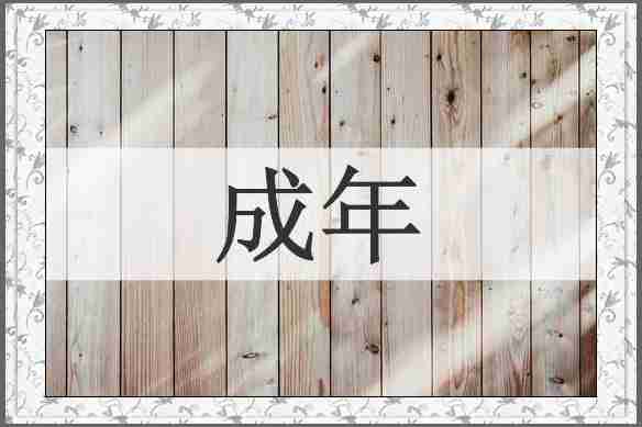 成年