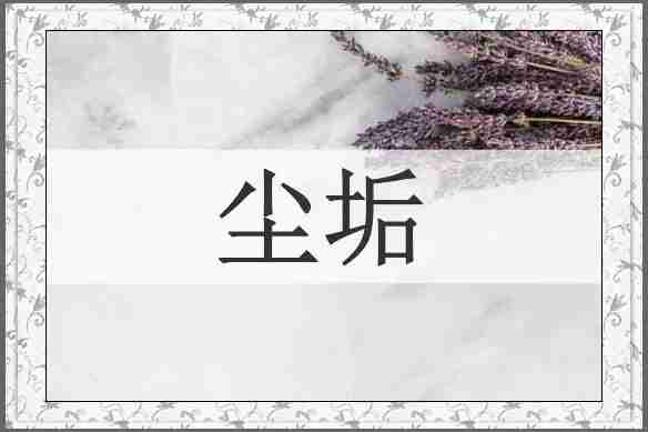 尘垢