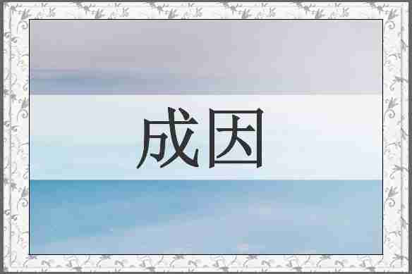 成因