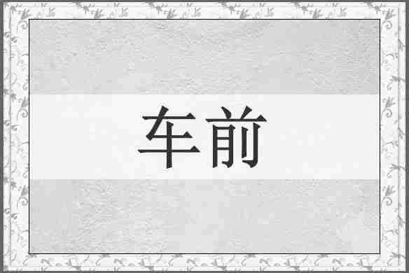 车前