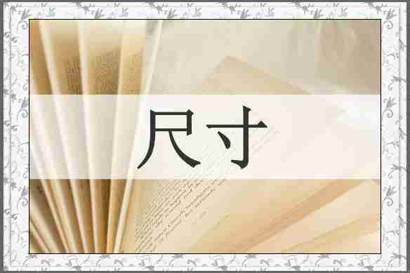 尺寸