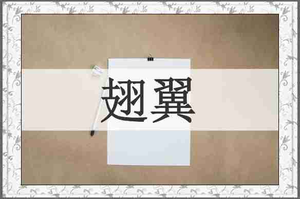 翅翼